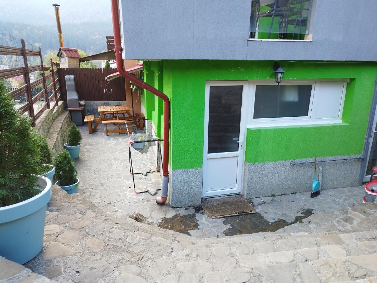 Vila Cri Cri Busteni Ngoại thất bức ảnh