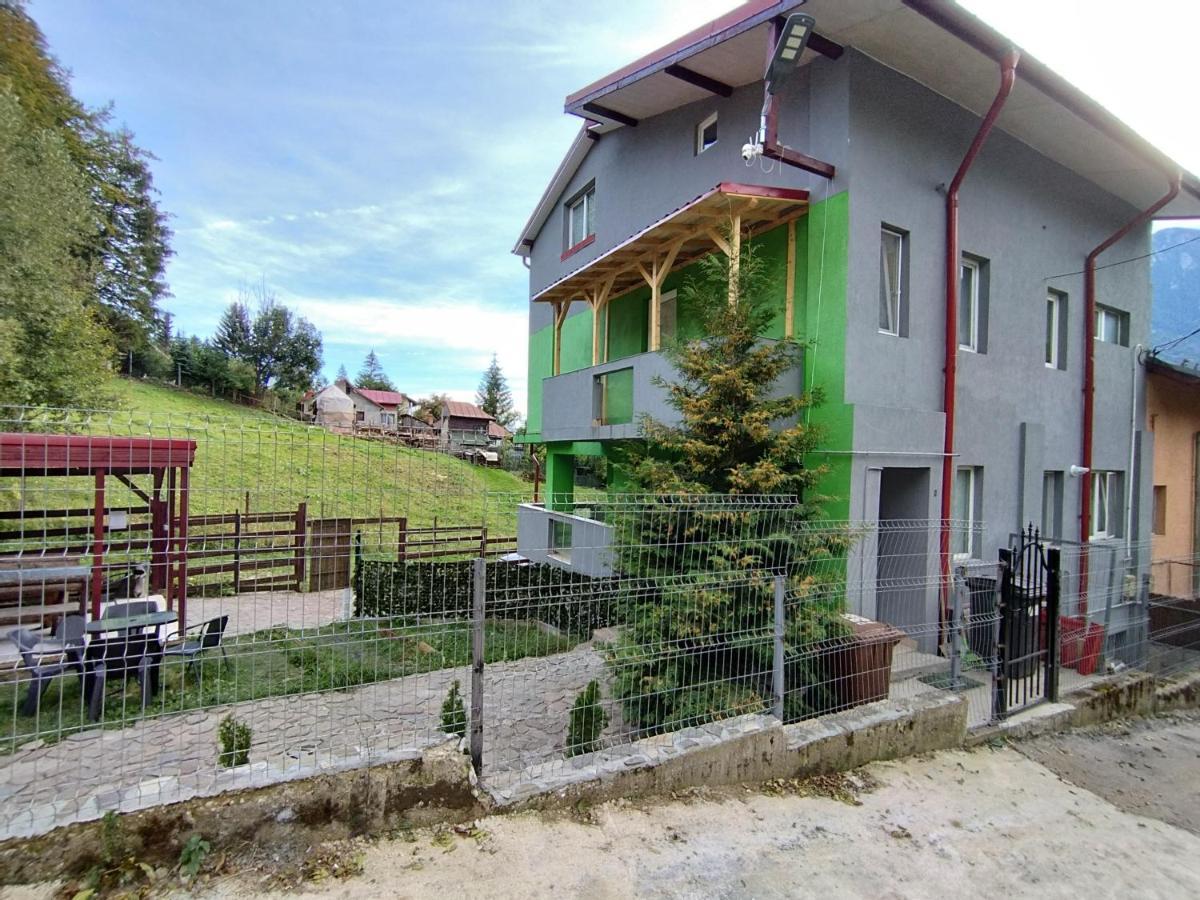 Vila Cri Cri Busteni Ngoại thất bức ảnh
